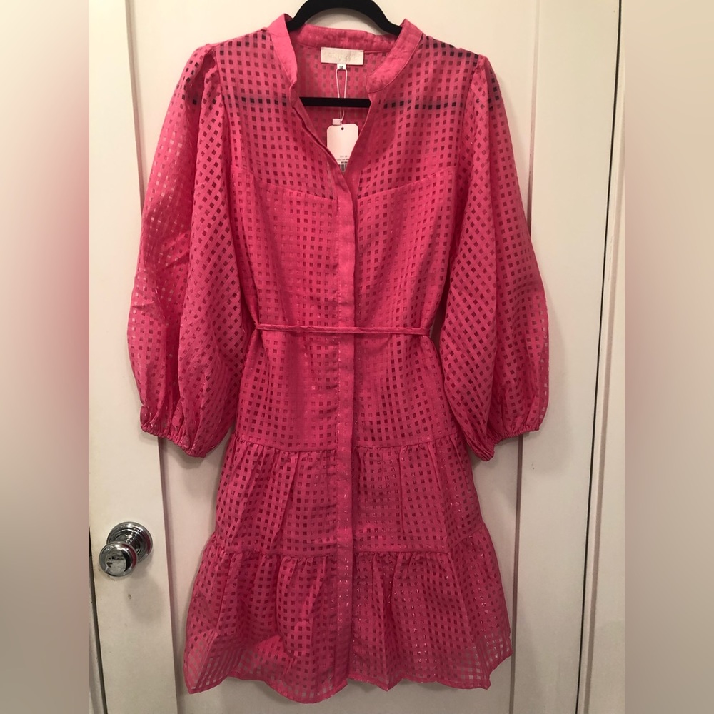 Gingham & Heels Magenta dress - Picture 6 of 10